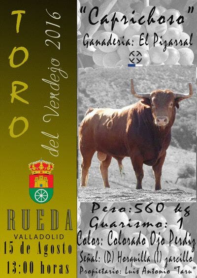 Rueda: Anoche se presentó el cartel del «Toro del Vedejo 2016»