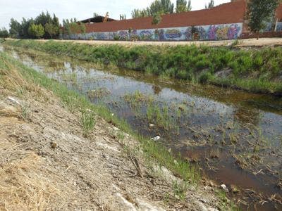 El Proyecto «Embellecimiento del Río Zapardiel» llegó a su fin