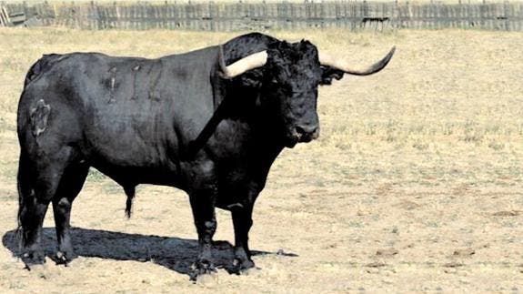 Tordesillas: 150 animalistas pretendieron «cargarse» hoy el Toro de la Peña