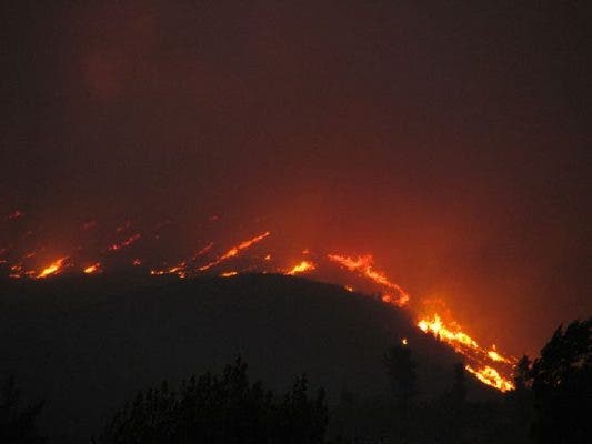 La superficie arbolada quemada en Castilla y León desciende un 56 % respecto de la media de los últimos diez años