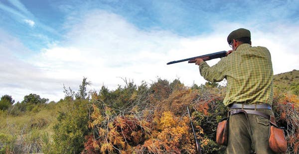 UCCL solicita  solucionar el sobrecoste que pagan las Juntas Agropecuarias Locales  de las tasas de matriculación de los cotos de caza