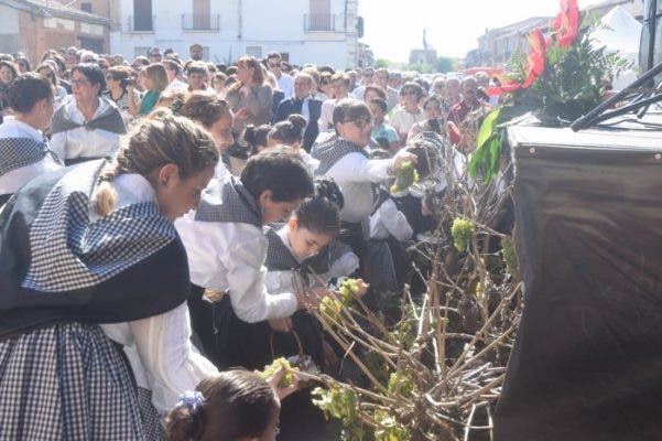Rueda celebró con éxito su XXIII Fiesta de la Vendimia