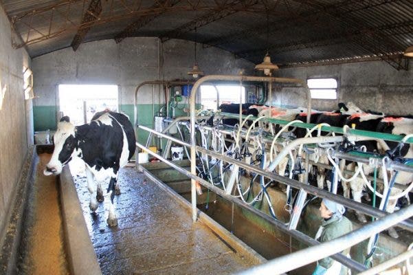La OPL alerta de una alarmante campaña de desprestigio de la leche y el productor