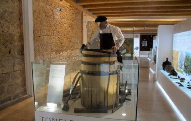 Maridaje de «Alimentos de Valladolid»  con vinos de CyL, en las catas del Museo Provincial del Vino