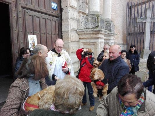 Los medinenses bendijeron a sus mascotas en la Colegiata por San Antón