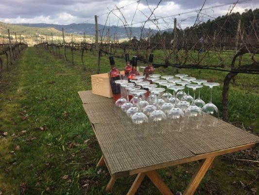 Amarante y Medina del Campo lanzan la Red Internacional de destinos de enoturismo de vinos blancos
