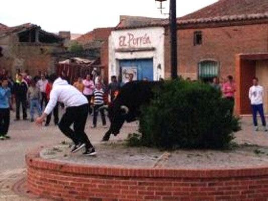 Ataquines: Las fiestas de la Cruz de Mayo llegarán con dos toros corridos