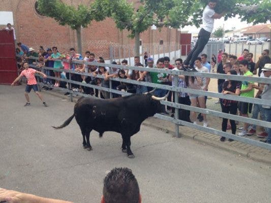 Medina del Campo: El Toro de la Feria se salda con un herido