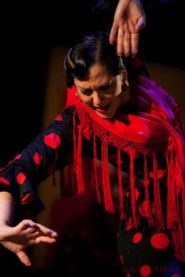 Esta noche el Auditorio Municipal acoge «La Noche Flamenca de Medina del Campo»