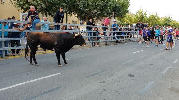 El Equipo de Gobierno del Ayuntamiento de Medina del Campo quiere recuperar la cultura taurina en San Antolín