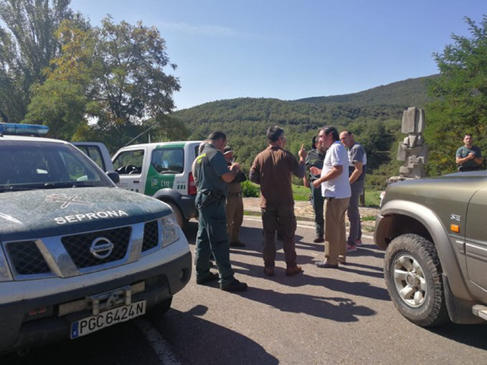 La Junta coordina un operativo de localización y seguimiento de un oso pardo que colisionó con un vehículo en la tarde de ayer en el norte de la provincia de Palencia