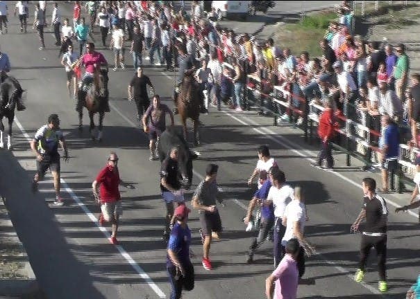Olmedo: La bravura de los toros comprometieron la labor de corredores y caballistas en el encierro de «La Soterraña»