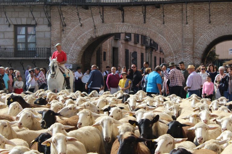La comparación de la Feria de Ganado de Medina del Campo con el mercado chino