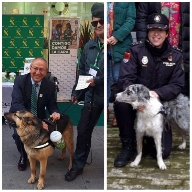 Reconocimiento  a los perros que colaboran con la Policía