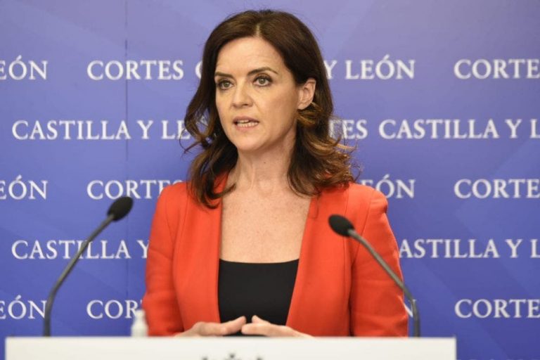 Ciudadanos: Ana Carlota Amigo ocupará el cargo de consejera de Empleo e Industria de Castilla y León