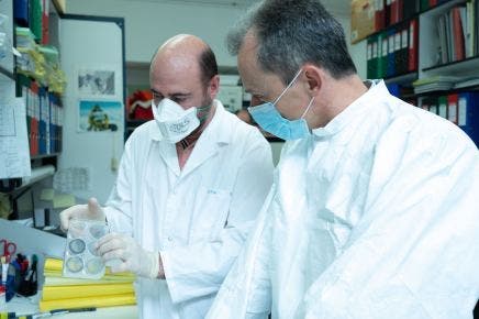 Investigadores del CNB ensayarán con animales el candidato a vacuna frente a COVID la próxima semana
