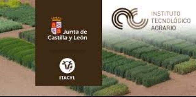 El Instituto Tecnológico Agrario de Castilla y León comienza a preparar kits de pruebas de diagnóstico del virus Covid-19
