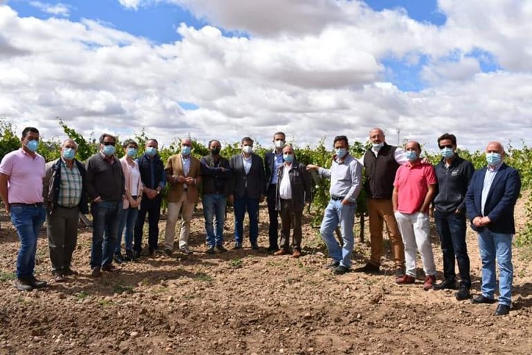 El Consejero de Agricultura visita Nava del Rey donde ha explicado la vendimia en verde a los viticultores