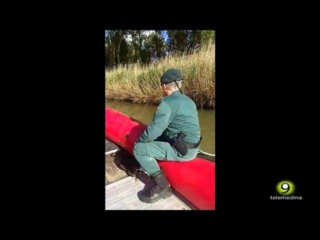 Imágenes de las labores de búsqueda del cocodrilo en el Duero y Pisuerga