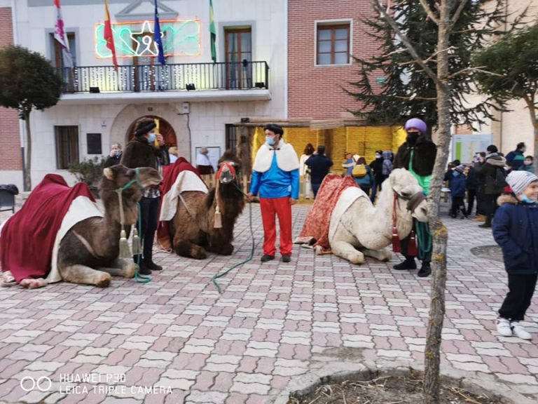 Sancionados por la celebración de cabalgatas de Reyes a Valladolid, Pedrajas, Valdestillas y Canalejas de Peñafiel