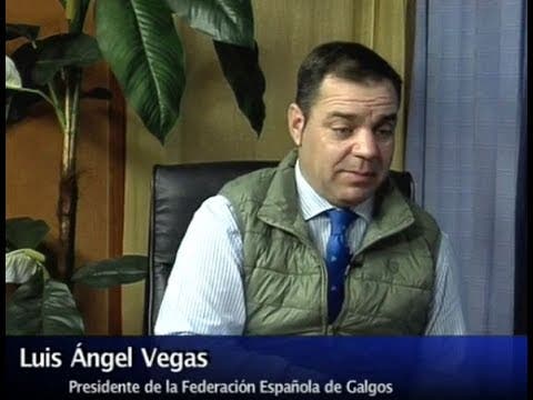 Última Hora del Campeonato de España de Galgos – Luis Angel Vegas Presidente de la F.E.G
