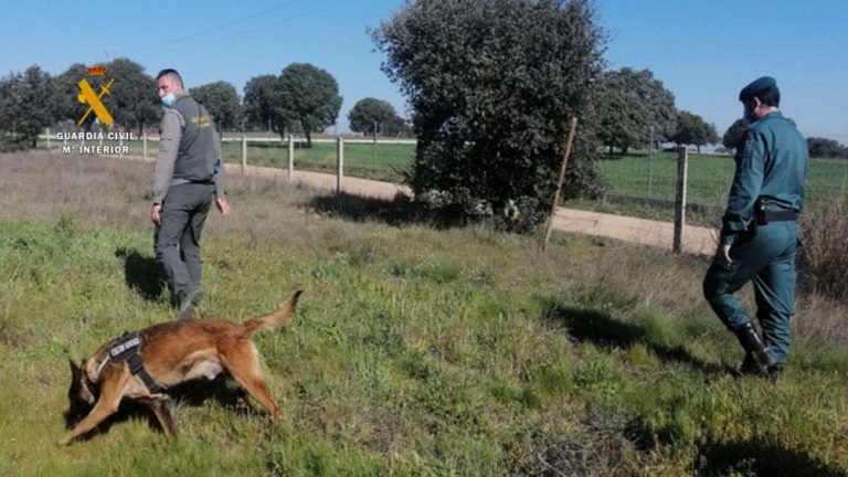 La Guardia Civil realiza inspecciones en el campo para detectar el uso ilegal de venenos