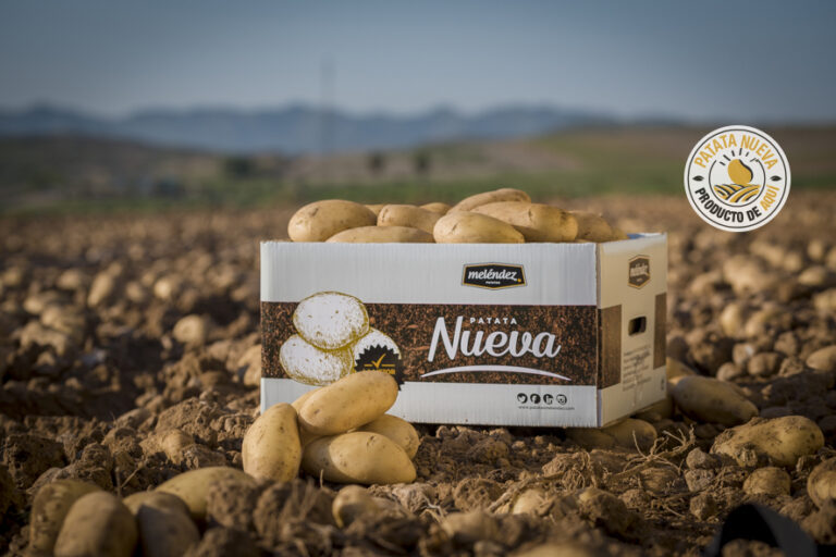 Patatas Meléndez lleva a los hogares españoles la patata nueva nacional procedente de Andalucía y de la Región de Murcia
