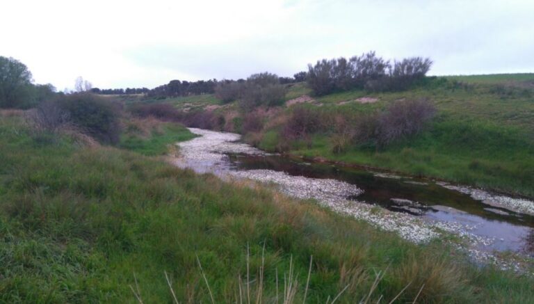 La CHD adjudica por 1,7 M€ las obras de restauración fluvial del río Arevalillo (Ávila)
