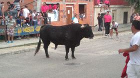 El Toro de Santiago de El Carpio contará con dos encierros como novedad