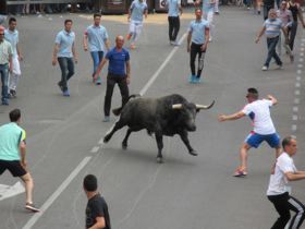 Medina del Campo se queda sin el ‘Toro de la Feria’ en junio como consecuencia del COVID-19