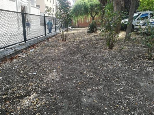 Medina del Campo oferta 9 plazas de auxiliar de jardiner?a dentro del Programa Mixto de Empleo