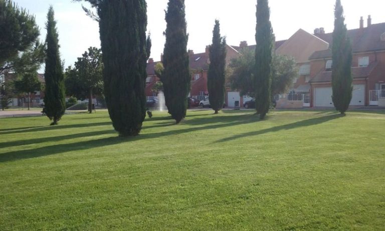 El Ayuntamiento de Medina del Campo embellece las plazas y los barrios