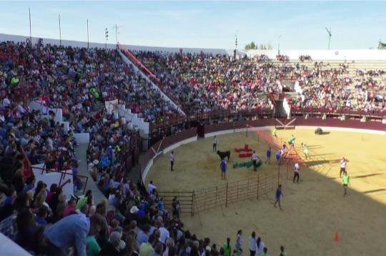 Medina del Campo: Casi lleno en la Plaza de Toros para disfrutar del «Gran Prix»