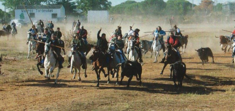 Los toros y la m?sica protagonistas hoy en las fiestas de Tordesillas