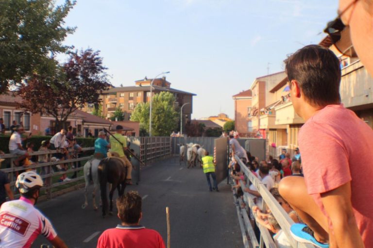 Medina del Campo: El -descansadero- será el punto de salida de los encierros urbanos