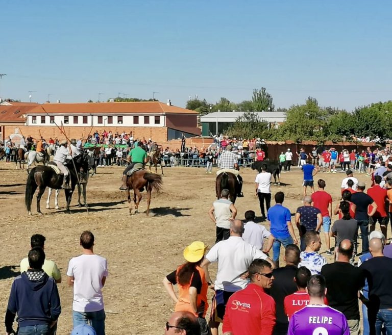 Un toro ha sembrado el púnico en el primer encierro de Mojados al escaparse del recorrido.