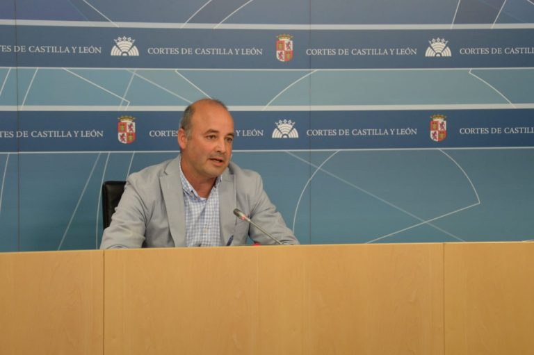 Castaño (Cs): ?El PSOE utiliza las Cortes de Castilla y León para enfangar la política?