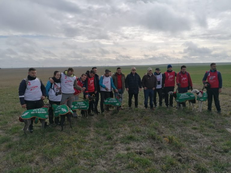 Los galgos Escorpi?n y Dulce del Roc?o clasificados para la semifinal del Campeonato de Españaña de galgos