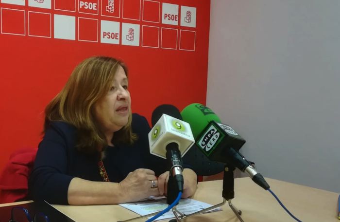 El PSOE pide al alcalde información sobre el Plan de Industria para Medina del Campo