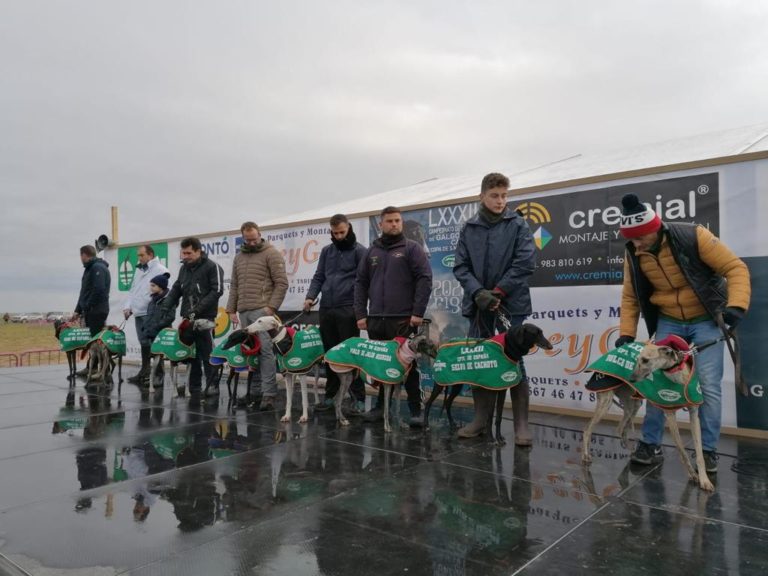 Arranca la competici?n galguera con cuatro colleras por delante