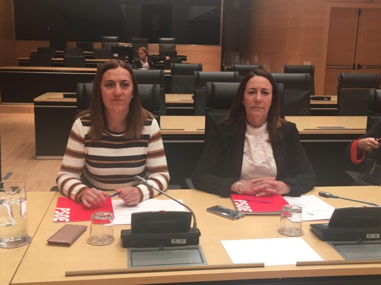 Virginia Barcones: ?Frente al teatrillo de las derechas, el PSOE analizar? de manera rigurosa cada c?ntimo que la Junta haya gastado en publicidad?