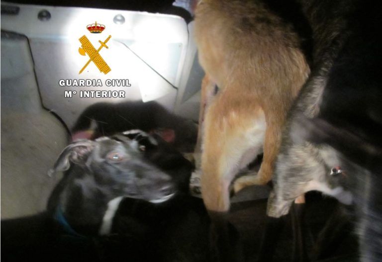 La Guardia Civil intercepta a 5 personas realizando la caza furtiva en la comarca de Peñafiel