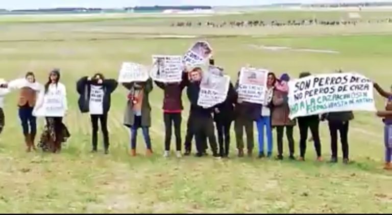 Activistas con pancartas de «No a la caza» irrumpen en el Campeonato de Galgos en Campo