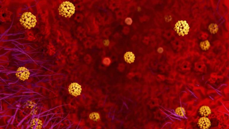 Siete nuevos positivos confirmados en Burgos elevan a 30 los casos de coronavirus en Castilla y León
