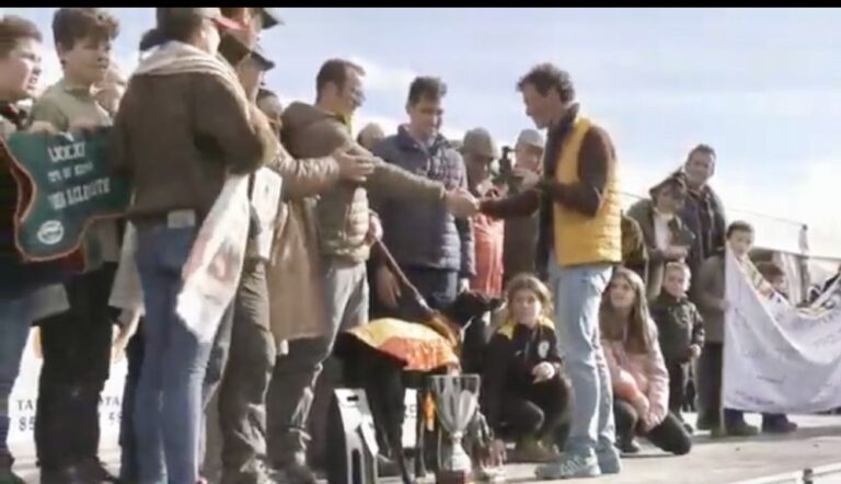 Liosa de Clemente, la galga de Matapozuelos hace historia ganando el Campeonato de Españaña de Galgos