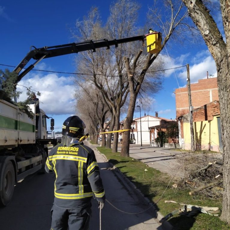 Tordesillas: Los bomberos evitan el desplome de un ?rbol de 14 metros sobre una vivienda