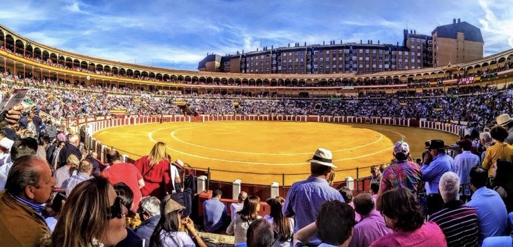 La feria taurina de San Pedro Regalado reunirá a figuras de primer nivel