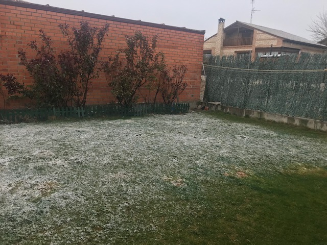 La Nieve hace su presencia en Medina del Campo y Comarca
