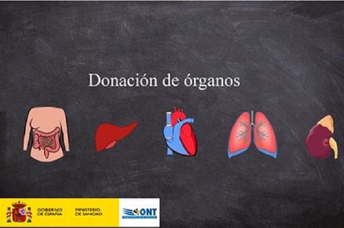 Españaña ha realizado 274 trasplantes de ?rganos a partir de 127 donantes durante la COVID-19