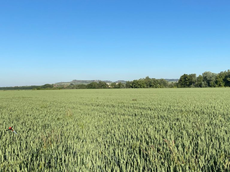 La Junta de Castilla y León facilitará a agricultores y ganaderos el resultado del control preliminar de parcelas declaradas en las ayudas PAC 2024